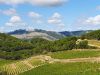 montventoux2023-045.jpg