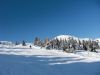 laplagne2010_026.jpg